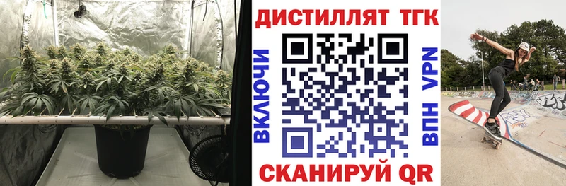 блэк спрут сайт дарнет шоп Баксан Дистиллят ТГК гашишное масло