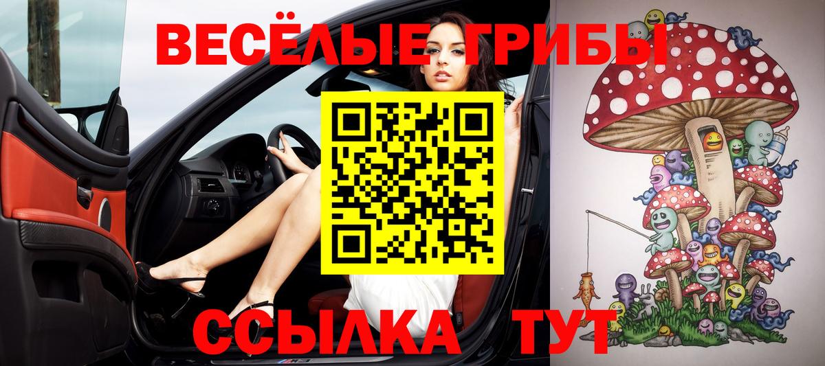 где купить наркотик  Галлюциногенные грибы ЛСД  Вход с VPN  Баксан  Псилоцибиновые грибы мицелий 