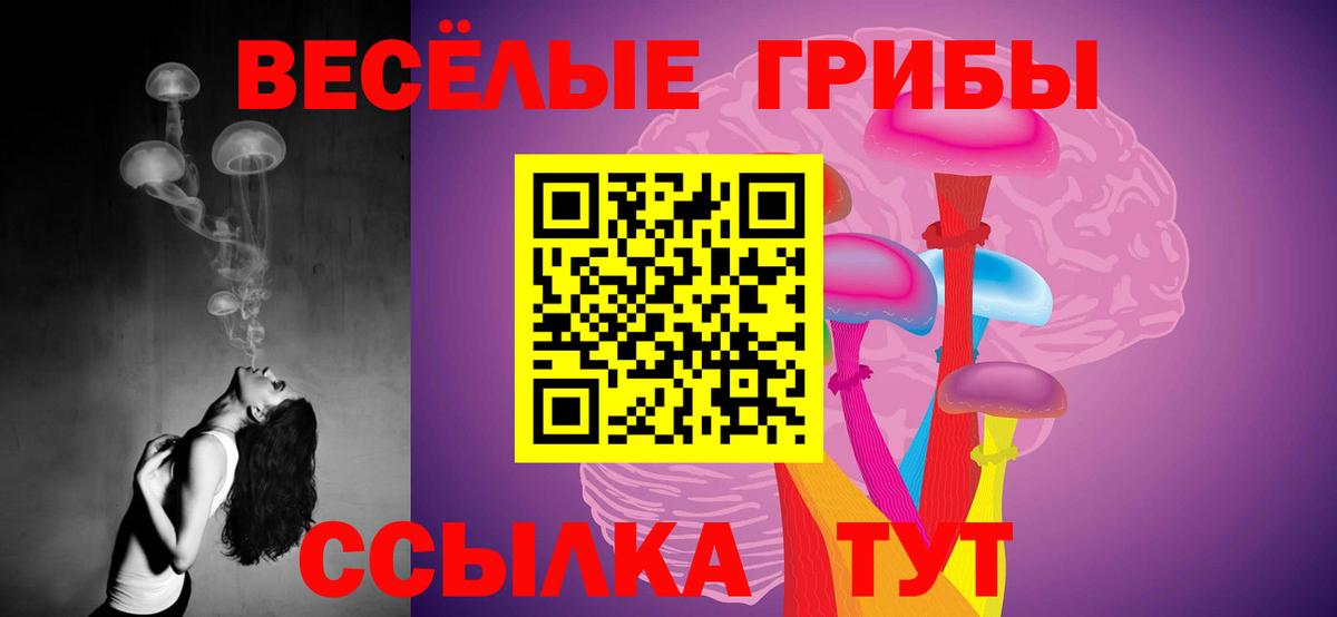 Галлюциногенные грибы Magic Shrooms  Баксан 