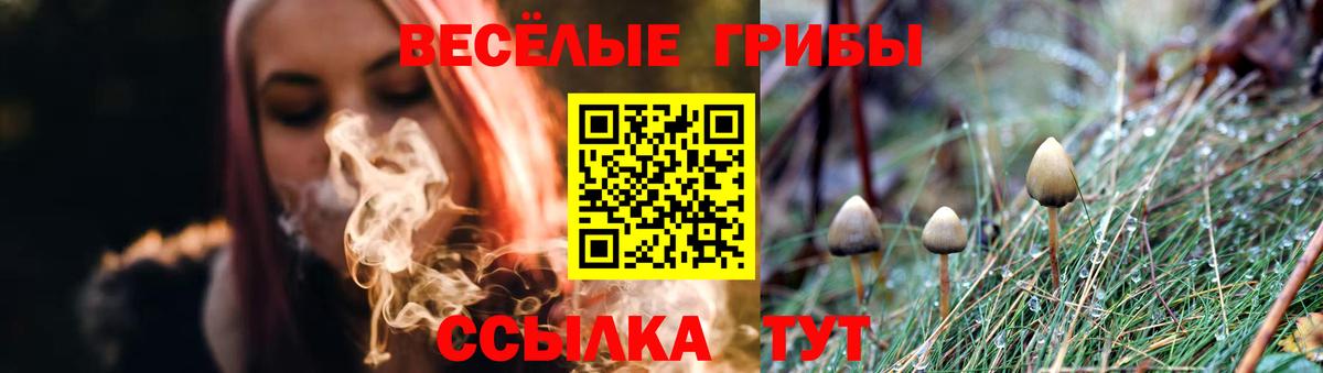 Галлюциногенные грибы ЛСД Баксан